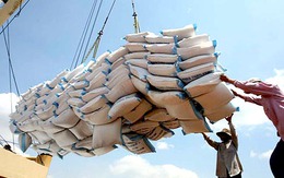 VFA điều chỉnh giá sàn gạo xuất khẩu