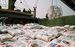 Xuất khẩu rớt hạng, gạo Việt đang ở đâu trên thế giới?
