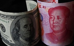 HSBC: Luồng đầu tư từ Trung Quốc vào Việt Nam không bị ảnh hưởng