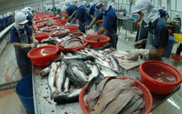 [Hàng hóa nổi bật ngày 28/01] Việt Nam phản đối thuế chống bán phá giá cá tra