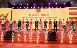 Tập đoàn Hoa Sen từng bước hiện thực hóa mục tiêu đạt 1,5 tỷ USD doanh thu năm 2017