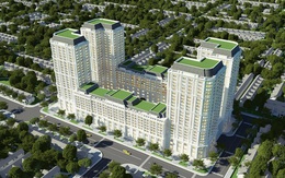 Hoài bão xây dựng quê hương của doanh nhân đất lúa