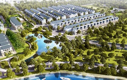 Chung cư cao cấp hay nhà phố: Lựa chọn tài sản nào?