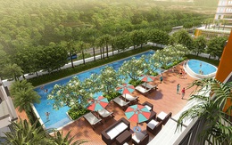 Không dễ tìm môi trường sống phát triển toàn diện cho con trẻ