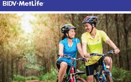 Hình thức đầu tư thông minh bạn có thể áp dụng cho gia đình