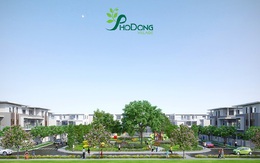 Tư duy sống xanh trong nếp sống người Việt