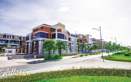 Càng sống gần thiên nhiên, cư dân càng hạnh phúc