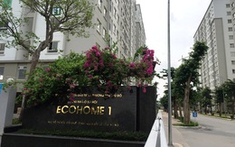 Capital House ưu đãi đặc biệt cho thuê Kios 2 tầng Ecohome