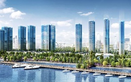 Mang cả công viên về nhà cho cuộc sống luôn xanh với Luxury 6