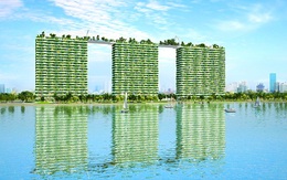 Diamond Lotus Riverside: Khơi nguồn cuộc sống phồn vinh