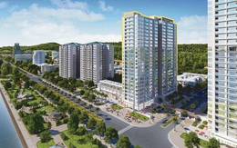 Mua chung cư hướng biển: Đón đầu xu hướng đầu tư BĐS Quảng Ninh