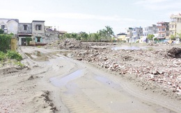 Hoàng Hà trúng đấu giá đất tại Trung tâm thành phố Thái Bình