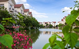 Sống sinh thái giữa lòng thủ đô