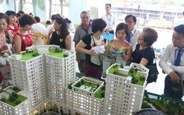 Tại sao Eco City Long Biên hút khách?