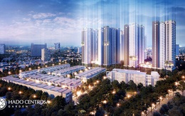 Giới chuyên gia – Họ chọn bất động sản như thế nào?