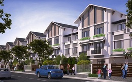 STDA chính thức mở bán dự án The Green Daisy