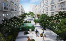 Queen Land phân phối độc quyền dự án Pandora