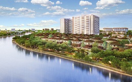 Những yếu tố giúp Flora Fuji chinh phục khách hàng