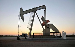 Goldman Sachs nâng dự báo giá dầu