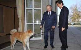 “Phá lệ” G7, Thủ tướng Nhật thăm Nga