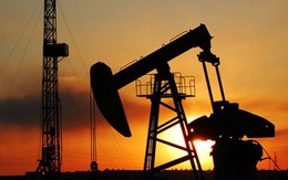 Thị trường Mỹ cản đà tăng của giá dầu