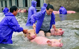 Trung Quốc thiệt hại 10 tỷ USD vì ngập lụt
