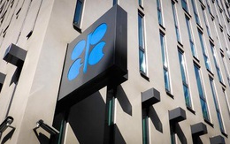 “Giá dầu có thể lên 65 USD/thùng vào đầu năm tới”