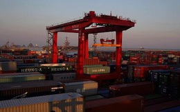 “Đại gia” vận tải biển sụp đổ, thương mại toàn cầu xáo trộn