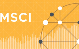 Việt Nam không vào rổ ‘review’ của MSCI, khối ngoại sẽ dừng mua ròng mạnh