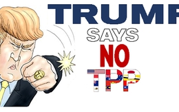 Nếu TPP thất bại, Việt Nam sẽ bị ảnh hưởng ra sao?