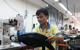 Hàng Việt vào Mỹ nhắm con số 57 tỉ USD