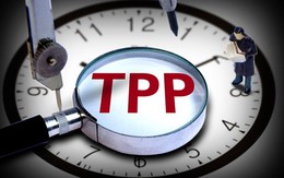 Trung Quốc đang tiến hành đánh giá về Hiệp định TPP