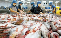 Thủy sản Hùng Vương đăng ký mua 5 triệu cổ phiếu quỹ