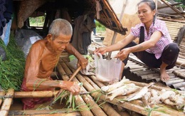 Cá lồng chết hàng loạt trên sông Mã