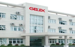 Hơn nửa năm gia nhập UpCOM, Gelex sắp tiến hành tăng vốn
