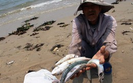 Cá chết do Formosa làm giảm GDP 6 tháng đầu năm