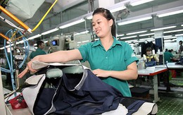 Dệt may Việt Nam đang suy giảm năng lực cạnh tranh trên thị trường