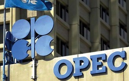 "OPEC đã không dự liệu được kịch bản giá dầu giảm quá mạnh"