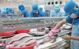 Cá tra Việt Nam "đổ bộ" vào thị trường Thái Lan