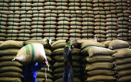 Ấn Độ "soán ngôi" Thái, Việt Nam xếp thứ 3 xuất khẩu gạo