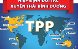 Trình Quốc hội phê chuẩn Hiệp định TPP vào Kỳ họp thứ nhất, Quốc hội khóa XIV