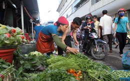 Giá rau tăng vọt