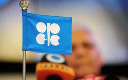 [Kinh tế học qua video] OPEC là gì?