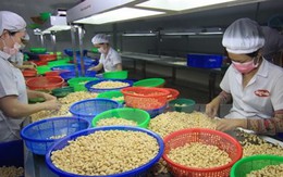 WTO: Việt Nam có tỷ lệ tăng trưởng xuất nhập khẩu ấn tượng