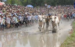 Khai thác bừa bãi “giết” du lịch miền Tây