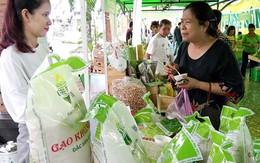 Nhiều lô hàng gạo Việt bị trả về: Khắc phục ra sao?