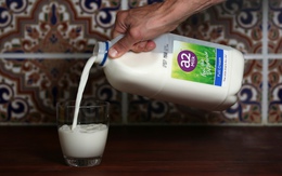 Sáng kiến này đã giúp một công ty sữa vô danh tạo nên "cơn địa chấn" trên thị trường bơ sữa thế giới