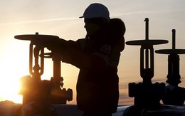 IEA đưa ra dự báo nghiêm trọng về thị trường dầu mỏ