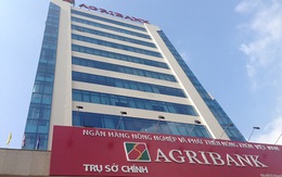 Agribank: Là anh cả nhưng kết quả kinh doanh... em út