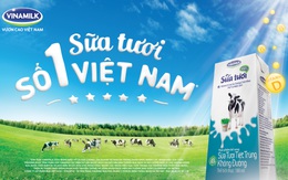 SCIC đã chốt xong đơn vị tư vấn để thoái vốn tại Vinamilk